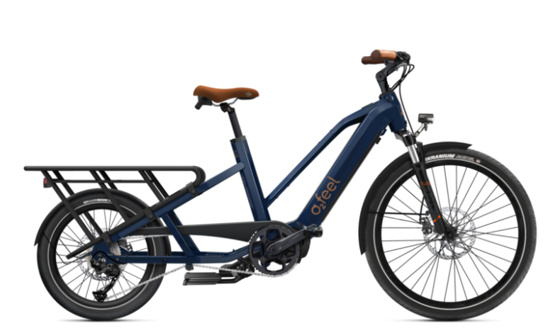 Velo Cargo: Understanding Everything About the Electric Cargo Bike