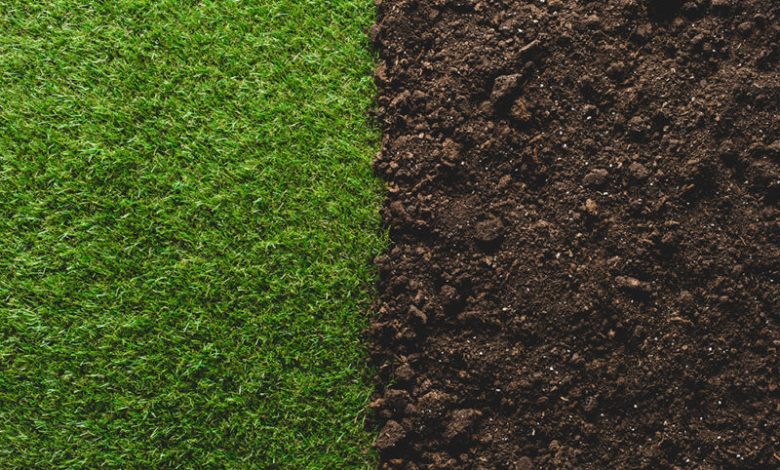 Take care of and protect your lawn with this natural fertilizer