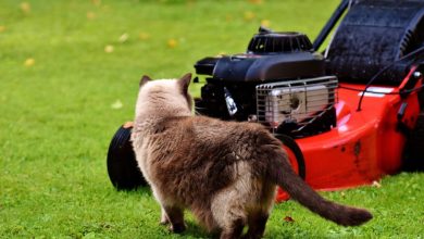 A spare part can give your lawnmower a new lease of life