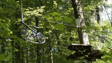 Discover the most beautiful treetop adventure spots