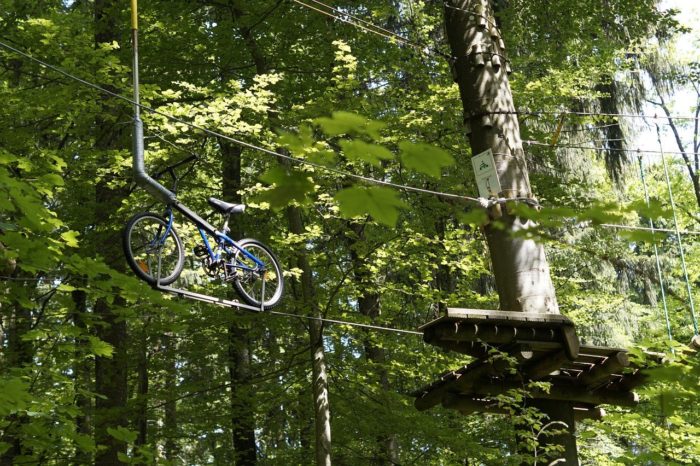 Discover the most beautiful treetop adventure spots