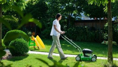 Lawn full of weeds: what to do?