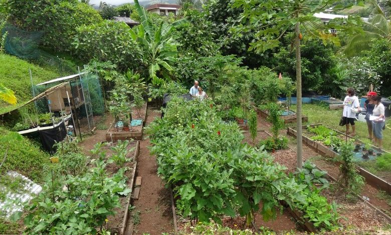 Organic is too expensive? Produce it in your garden!