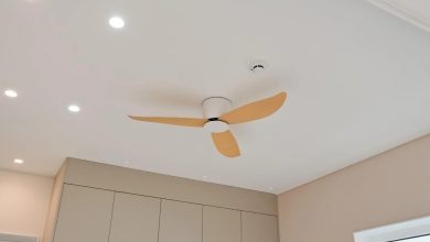 Ceiling Fans vs. Pedestal Fans: Which is Better?