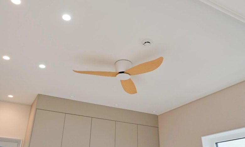 Ceiling Fans vs. Pedestal Fans: Which is Better?