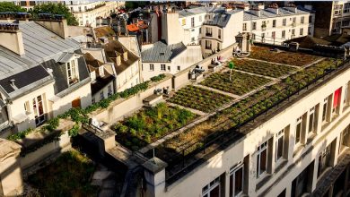 Market garden walls, vegetable gardens on roofs