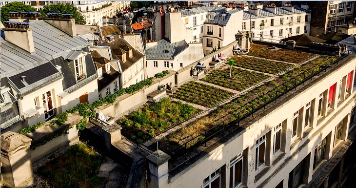 Market garden walls, vegetable gardens on roofs