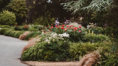 Rustic Elegance: How Corten Steel Edging Transforms Gardens