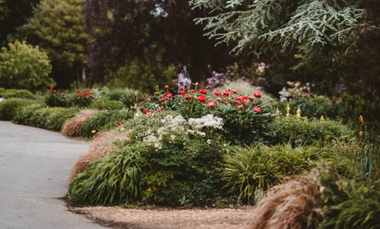 Rustic Elegance: How Corten Steel Edging Transforms Gardens