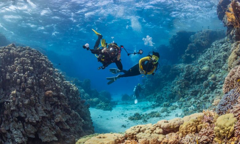 The most amazing diving spots to discover around the world